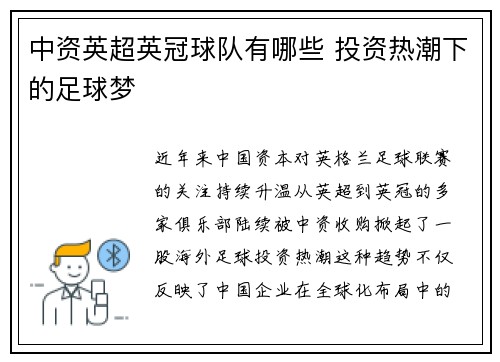 中资英超英冠球队有哪些 投资热潮下的足球梦