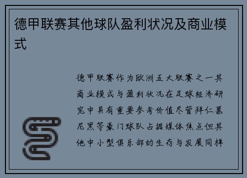 德甲联赛其他球队盈利状况及商业模式